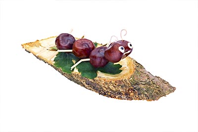 Nimmermüde Ameisen • Möbel Bolte Nimmermüde Ameisen • Möbel Bolte