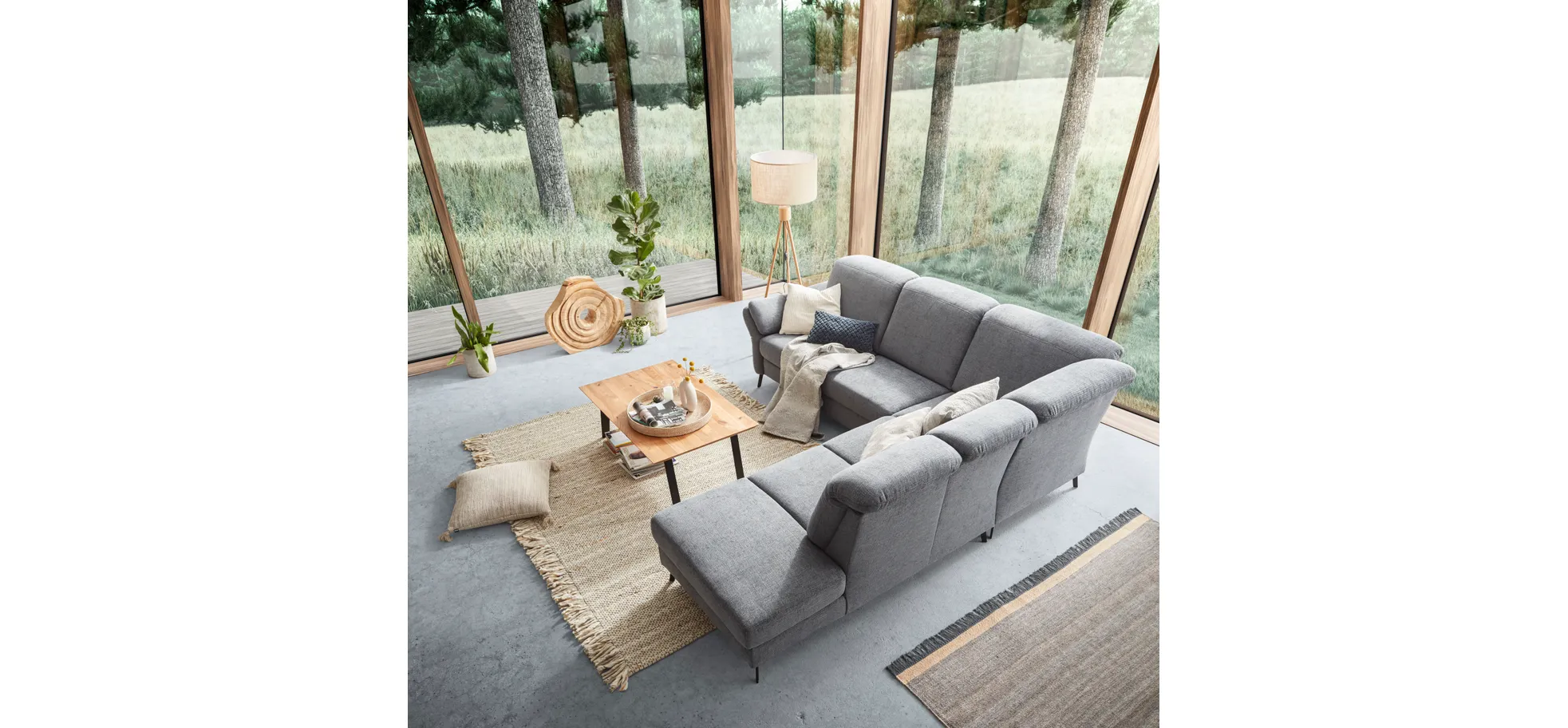 Savannah – Bild 3